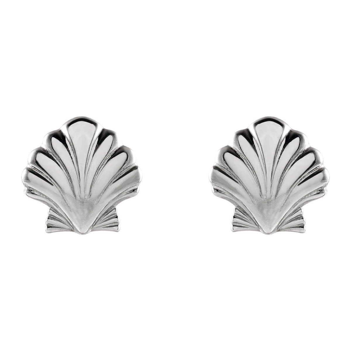 Tiny Shell Stud Earrings