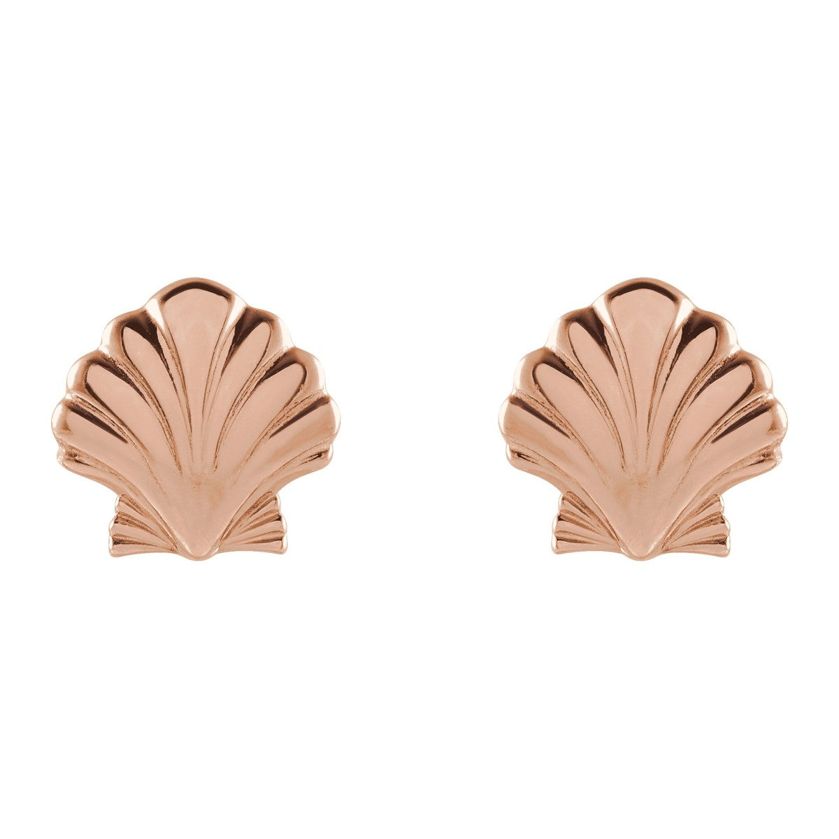 Tiny Shell Stud Earrings