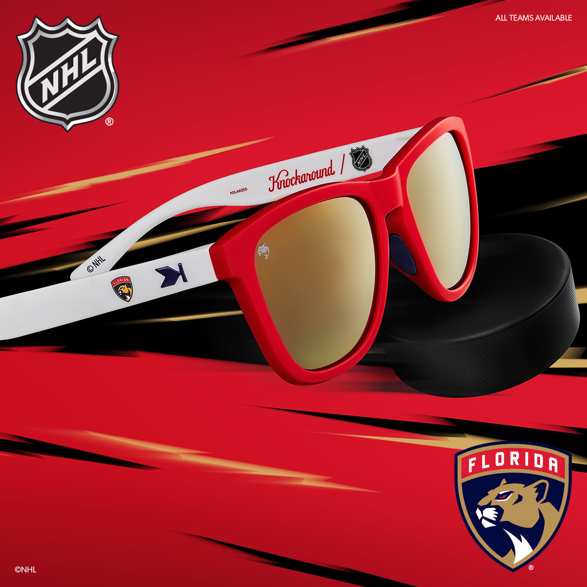 NHL Florida Panthers