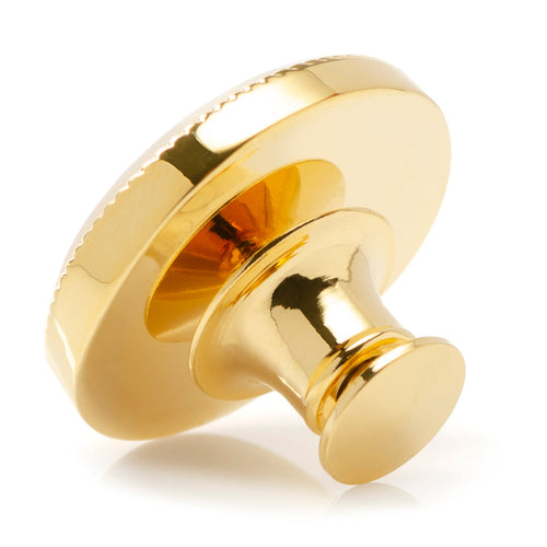 Gold-tone sand dollar lapel pin with raised shell detail