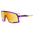 NFL Minnesota Vikings Campeones