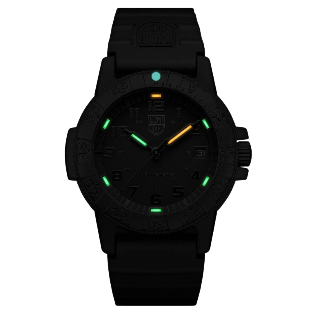 Leatherback SEA Turtle, 39 mm, Outdoor Watch, Blackout - close-up detail view